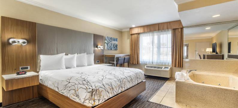 机场公园贝斯特韦斯特酒店(Best Western Airpark Hotel - Los Angeles LAX Airport)图片