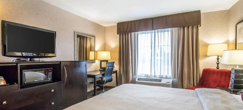 克拉丽奥酒店-埃尔姆赫斯特-橡树溪近I-88-I-290-I-294(Clarion Inn Elmhurst - Oak Brook Near I-88 I-290 I-294)图片