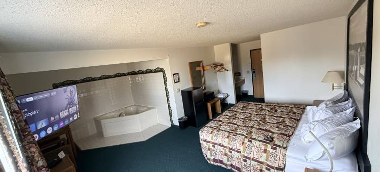 德威特速8酒店(Budget Inn & Suites)图片