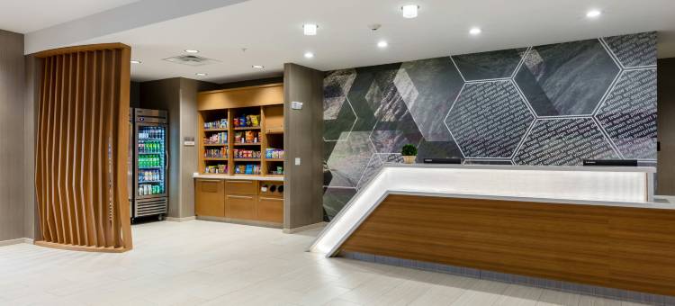 哥伦比亚SpringHill Suites酒店(SpringHill Suites Columbia)图片