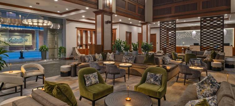 威斯汀休斯顿市中心酒店(The Westin Houston Downtown)图片