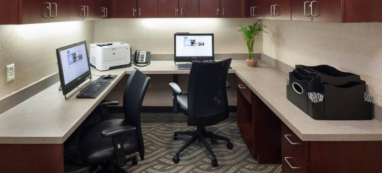 韦斯特福德切姆斯福德欢朋套房酒店(Hampton Inn & Suites Westford-Chelmsford)图片