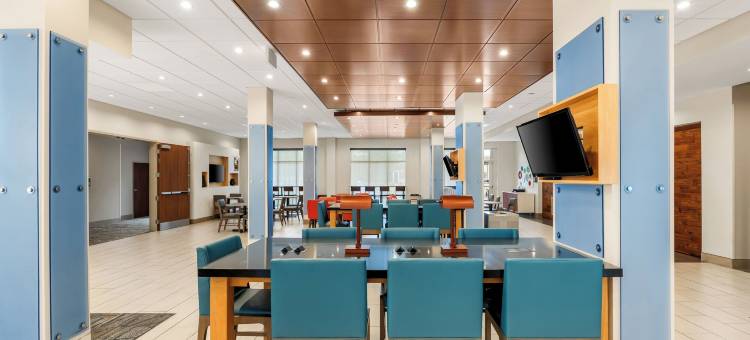 圣路易斯切斯特菲尔德智选假日套房酒店(Holiday Inn Express & Suites ST. LOUIS - CHESTERFIELD by IHG)图片