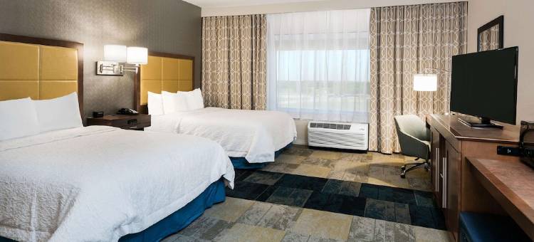 圣安东尼奥布鲁克斯城市基地希尔顿欢朋套房酒店(Hampton Inn & Suites San Antonio Brooks City Base Area)图片