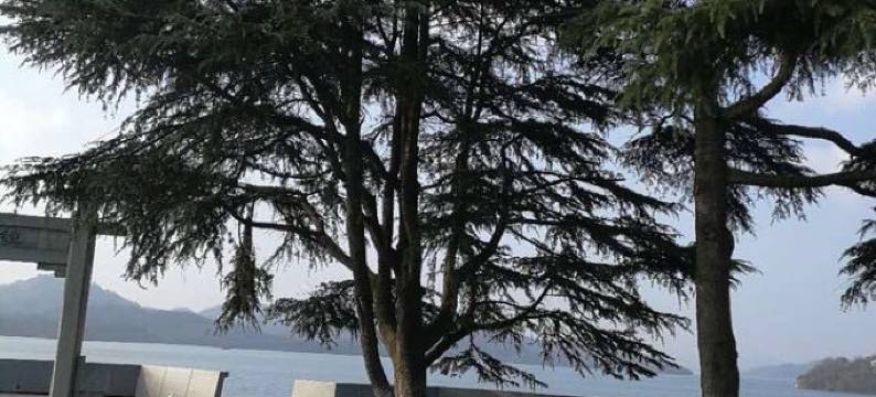 溧阳吉祥旅社图片