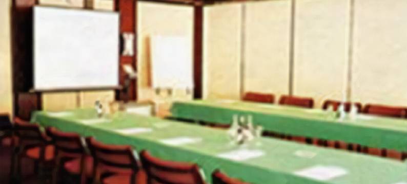 莱德尔酒店(Lærdal Hotel)图片