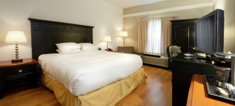 布法罗阿默斯特希尔顿逸林酒店(DoubleTree by Hilton Hotel Buffalo - Amherst)图片