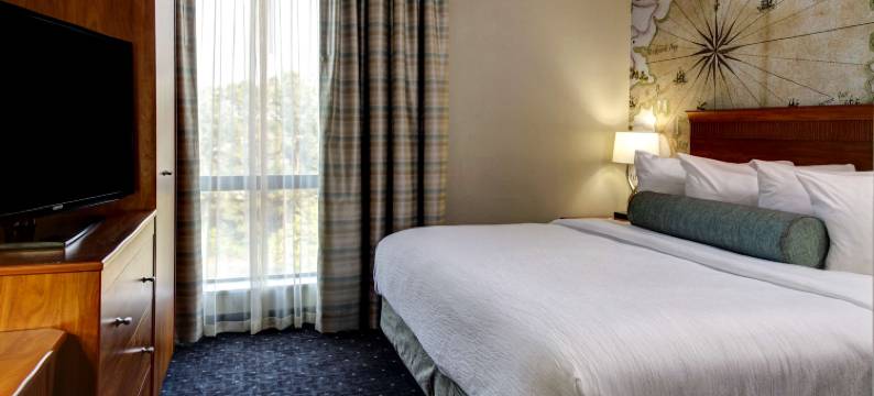 威廉斯堡希尔顿安泊酒店(Embassy Suites by Hilton Williamsburg)图片