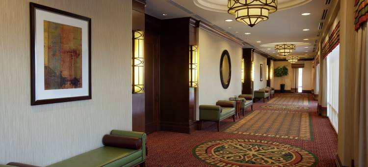 多伦多机场希尔顿花园酒店(Hilton Garden Inn Toronto Airport)图片