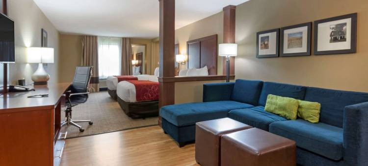 比灵斯舒适套房酒店(Comfort Suites Billings)图片