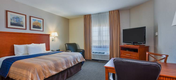 Candlewood Suites 迪凯特医疗中心 by IHG(Candlewood Suites Decatur Medical Center)图片