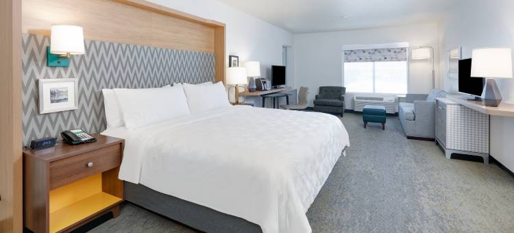 特温福尔斯假日酒店(Holiday Inn Twin Falls)图片