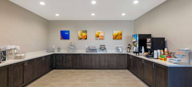 舒适酒店及套房巴尔奇斯普林斯 - 达拉斯东南(Comfort Inn & Suites Balch Springs - SE Dallas)图片