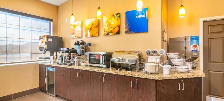 舒适套房酒店(Comfort Inn & Suites)图片