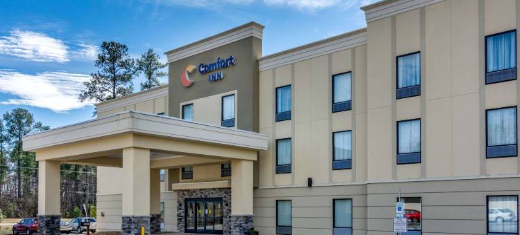 南切斯特菲尔德-科隆尼尔海次舒适酒店(Comfort Inn South Chesterfield - Colonial Heights)图片