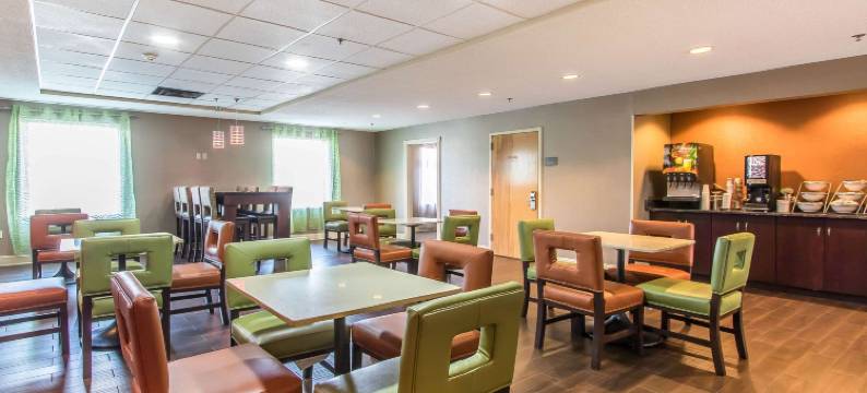 里奇蒙舒适套房酒店(Comfort Suites)图片