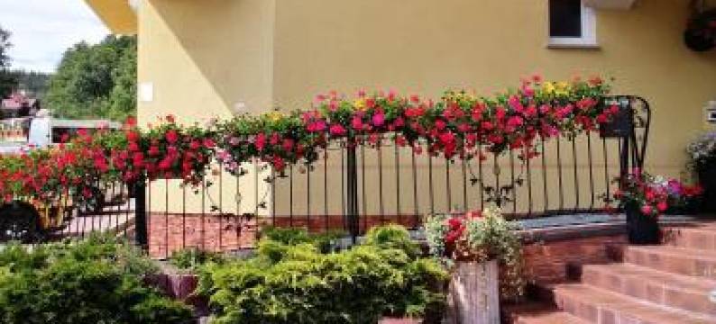 佩斯亚旅馆(Pasja)图片