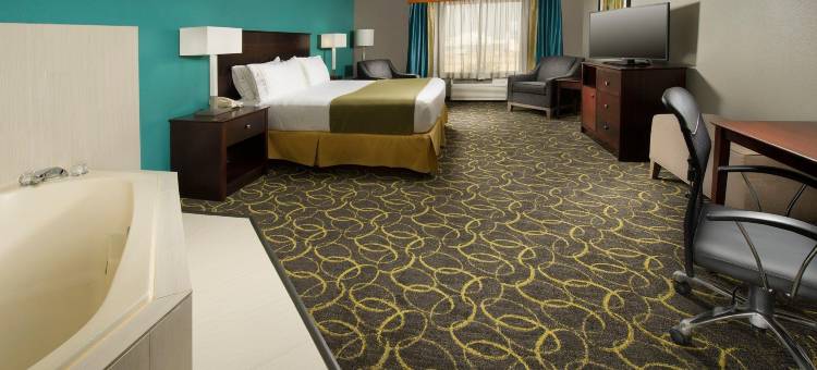 Holiday Inn Express & Suites DFW -葡萄(Holiday Inn Express & Suites DFW AIRPORT - GRAPEVINE by IHG)图片