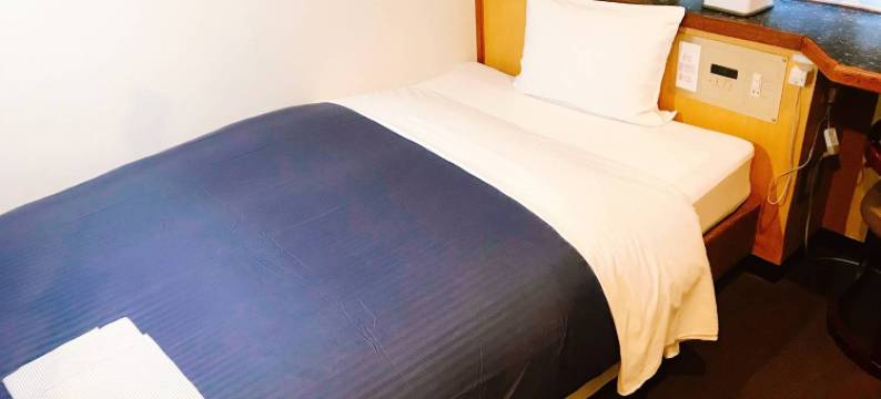 鹿儿岛商务酒店(Business Hotel Oriental Izuro)图片