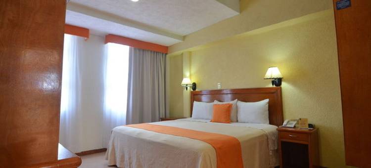 贝兹扎尔酒店(Hotel Báez Carrizal)图片