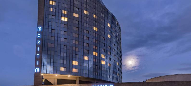 乌尔姆玛丽酒店(Maritim Hotel Ulm)图片