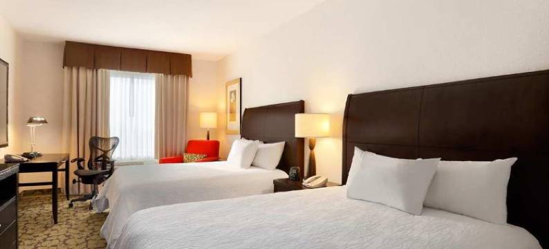 埃德蒙顿国际机场希尔顿花园酒店(Hilton Garden Inn Edmonton International Airport)图片