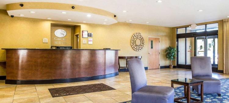 舒适套房酒店(Comfort Suites)图片