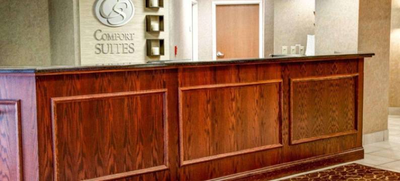 阿塔拉加兹登舒适套房酒店(Comfort Suites Gadsden Attalla)图片