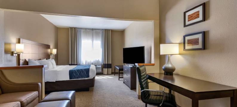 滑铁卢-雪松瀑布舒适套房酒店(Comfort Inn & Suites Waterloo - Cedar Falls)图片