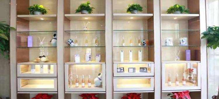 麗枫酒店(天津华明滨海国际机场店)图片