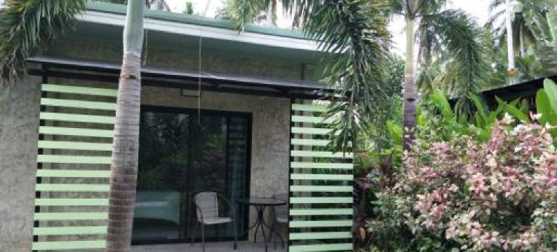 The Leaf Bankrut图片