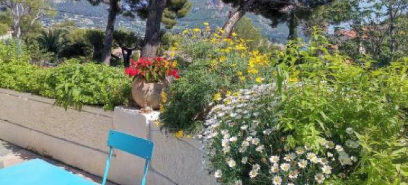 卡西斯旅舍(Cassis Hostel)图片