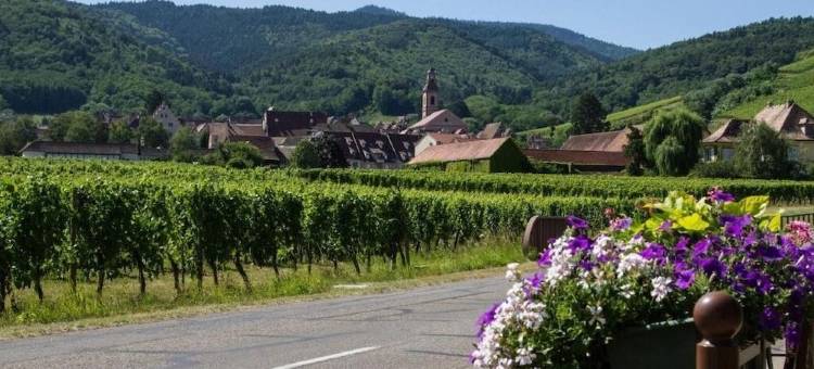 维涅摇篮酒店(Hôtel Berceau du Vigneron)图片