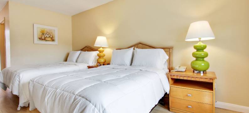 罗特西西方旅馆(Rotex Western Inn)图片