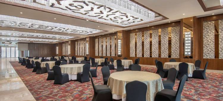 德里NCR-卡萨比塔丽笙蓝标酒店(Radisson Blu Towers Kaushambi Delhi NCR)图片