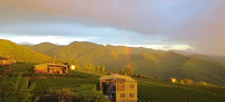 阿里山渊明居山庄图片