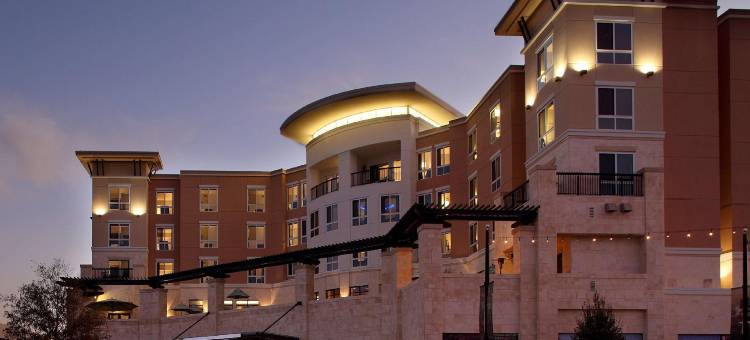 伍德兰斯凯悦尚萃酒店(Hyatt Centric the Woodlands)图片