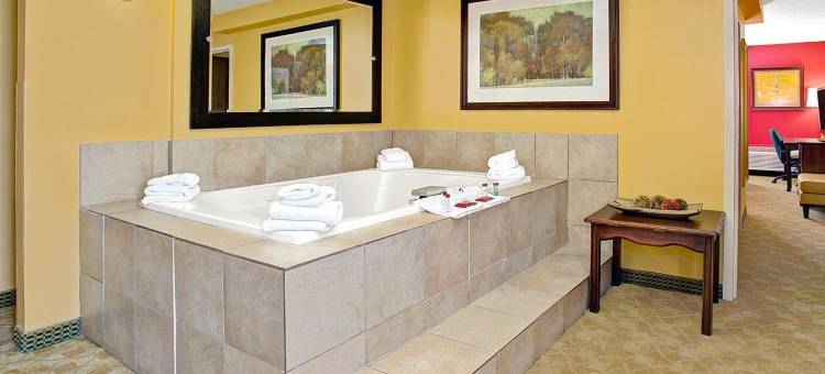 Delta Hotels Denver Thornton图片