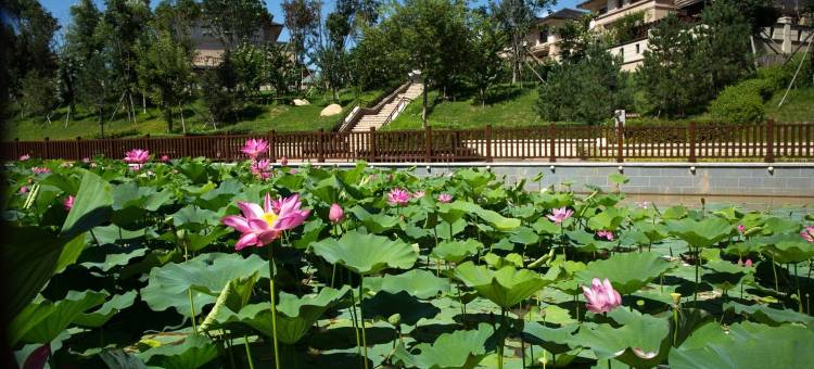 国信南山温泉度假民宿(长清公路1号分店)图片