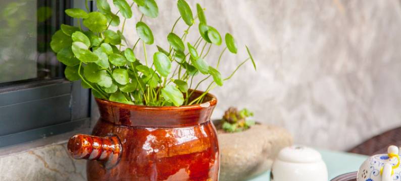 拾光禧舍公寓(信义路分店)图片