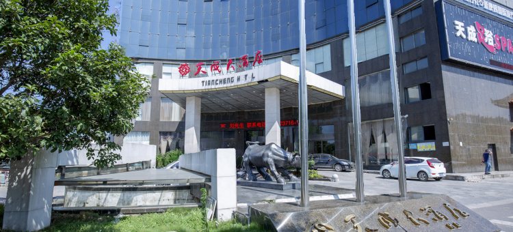 沅江天成大酒店图片