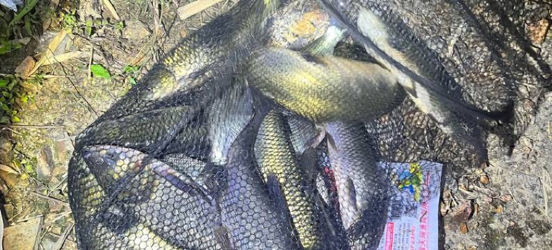 安吉赞琳民宿图片