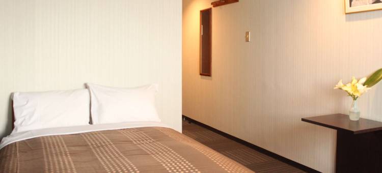 利夫马克斯经济型酒店-东京羽村站前店(HOTEL LiVEMAX BUDGET Tokyo Hamura Ekimae)图片