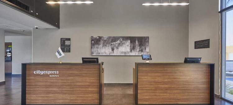 特皮克万豪城市快捷酒店(City Express by Marriott Tepic)图片