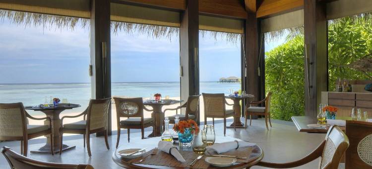 马尔代夫瑞僖敦法鲁玛福斯酒店(The Residence Maldives at Falhumaafushi)图片