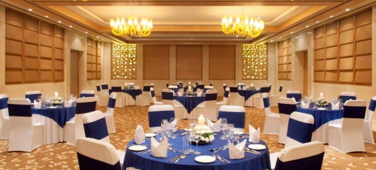 新德里德瓦卡丽笙酒店(Radisson Blu New Delhi Dwarka)图片