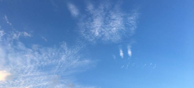 萤火之森公寓(滨河路分店)图片