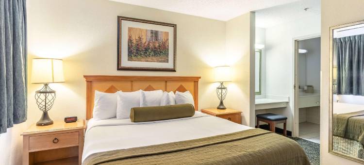 得克萨斯基林 6 号开放式公寓酒店(Studio 6 Killeen, TX)图片