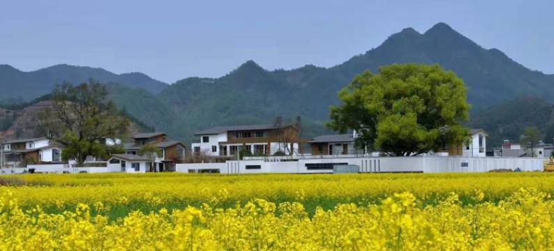 欢喜小房东度假别墅(徐齐线分店)图片