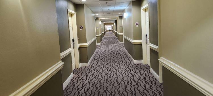 Studio 6 Suites Pasadena, TX图片